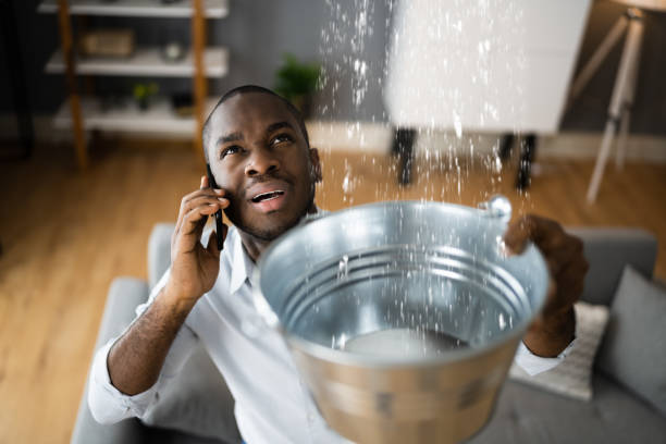 Local water damage restoration in Donald, OR