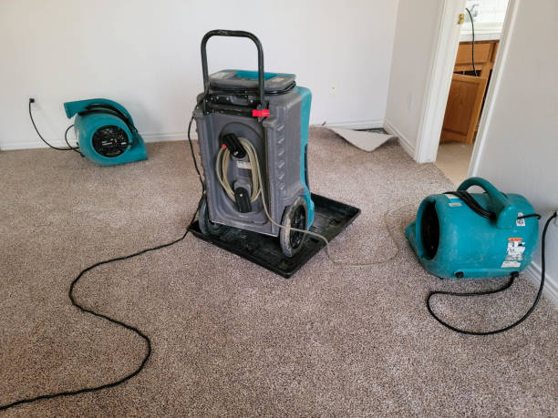 Best 24/7 water damage repair  in Donald, OR