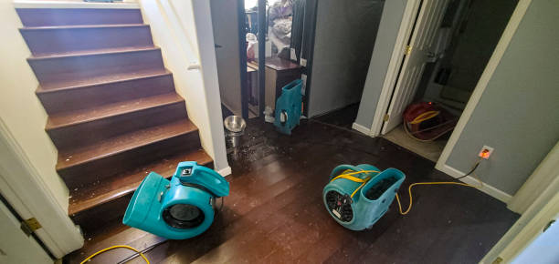 Water damage restoration mold remediation in Donald, OR
