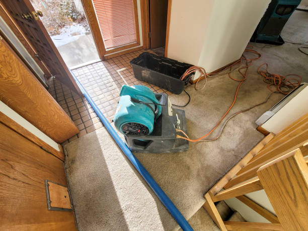 Best Residential water damage restoration  in Donald, OR