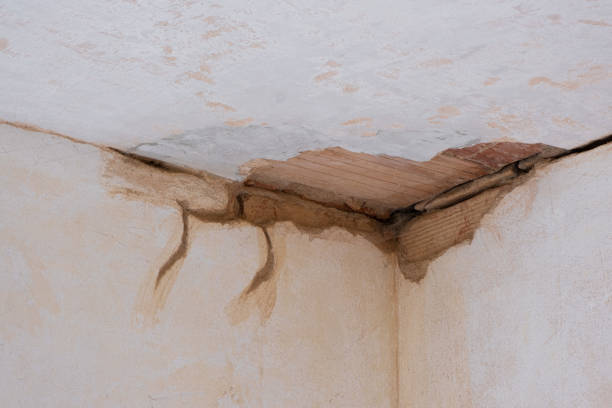 Best Emergency water damage restoration  in Donald, OR
