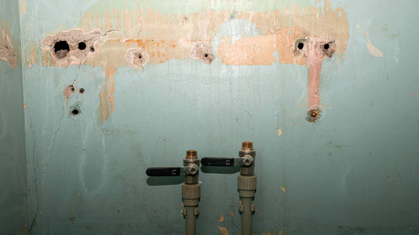 Best Water damage restoration cost  in Donald, OR