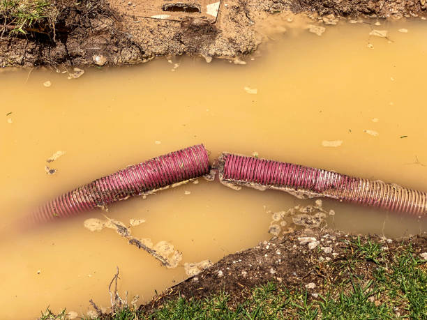 Best Water damage restoration near me  in Donald, OR